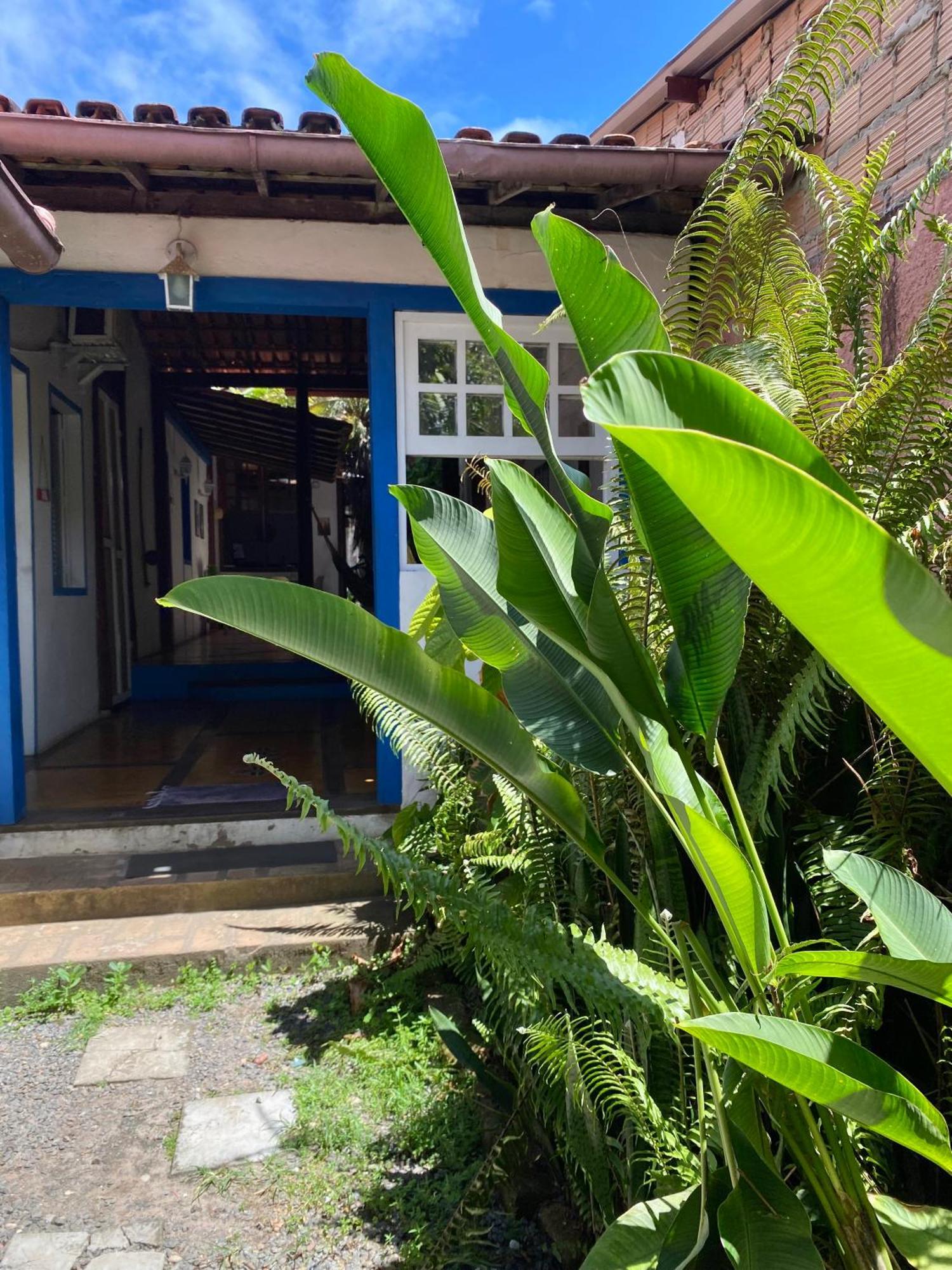 Tropicalia Hostel E Pousada Итакаре Экстерьер фото