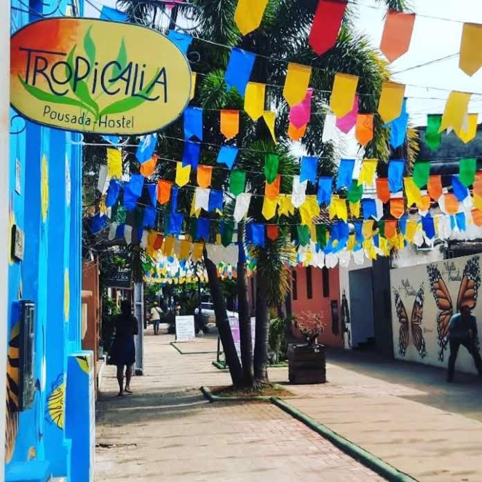 Tropicalia Hostel E Pousada Итакаре Экстерьер фото